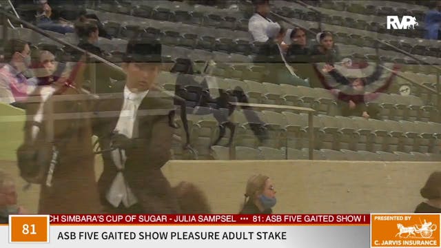 KFC 2020 - Class 81 ASB Five Gaited S...