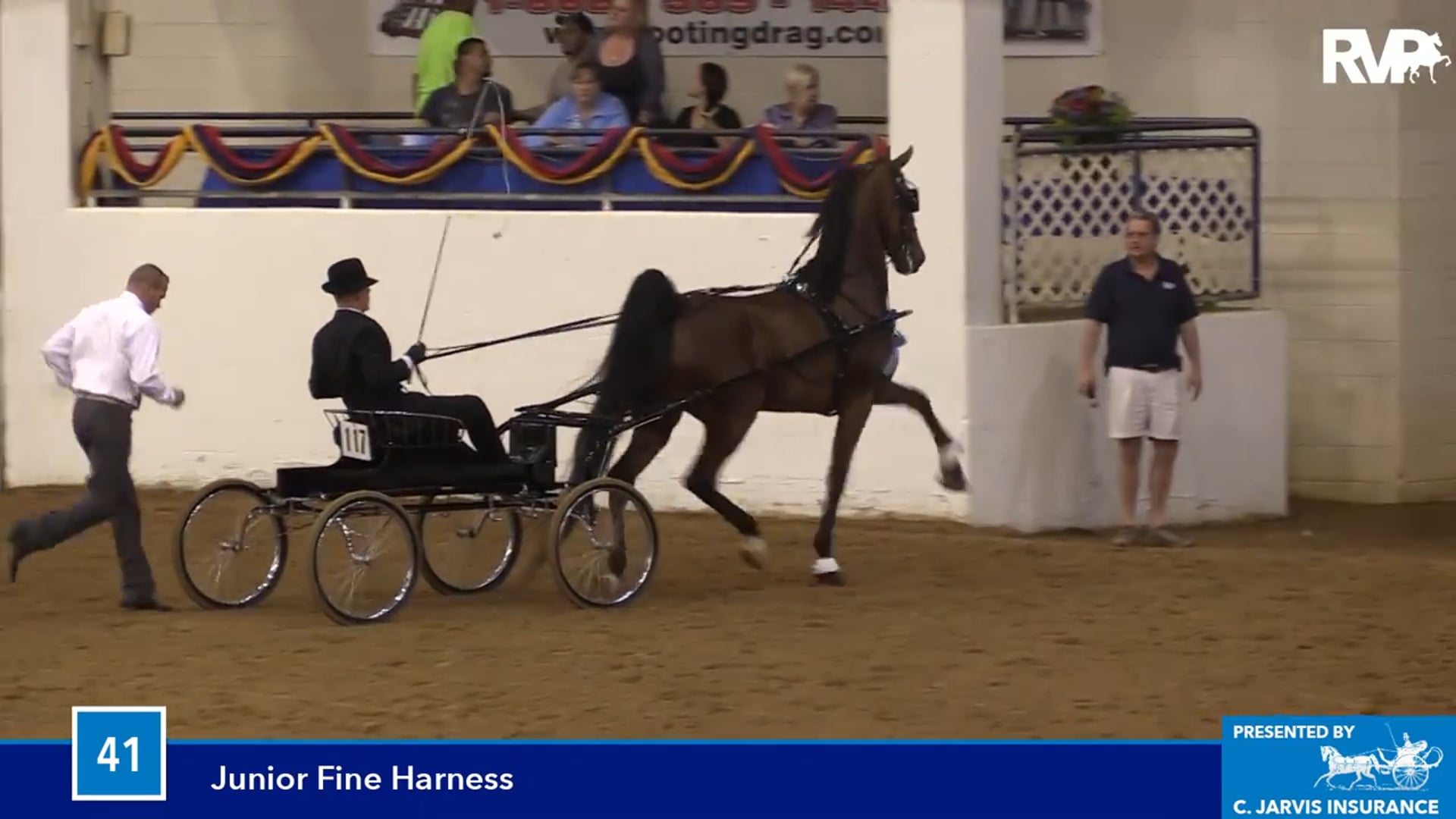 BB16 - Junior Fine Harness