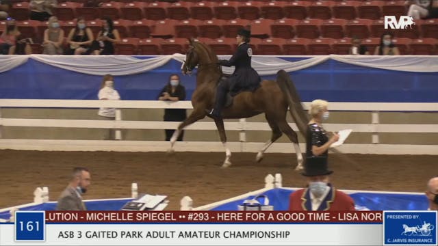 2020 BR - Class 161 ASB Three Gaited ...