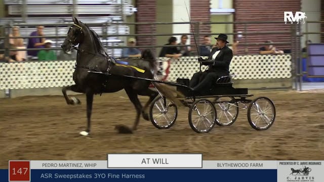 AAC22 - Class 147 -  At Will and Pedr...