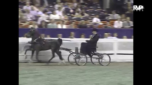 1999 WCHS - Class 194 Hackney-Harness...