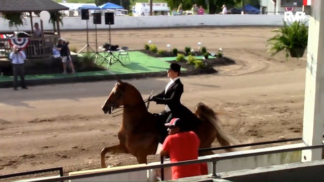 2018 Mercer County Fair & Horse Show ...