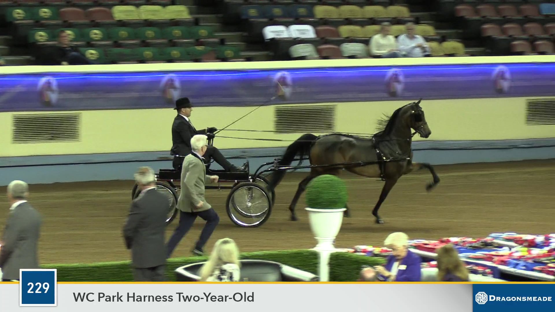 2019 Morgan Grand National - Coliseum - Saturday Afternoon