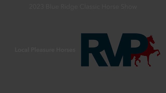 BR23 - Class 140 - Local Pleasure Horses