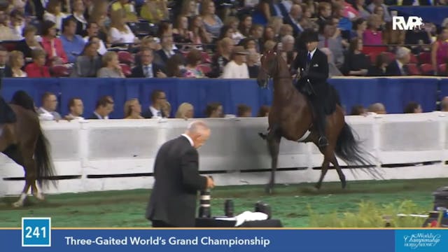 2015 WCHS - Class 241 Three Gaited Wo...