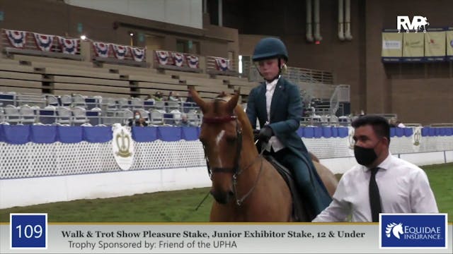 2020 AR - Class 109 Walk & Trot Junio...