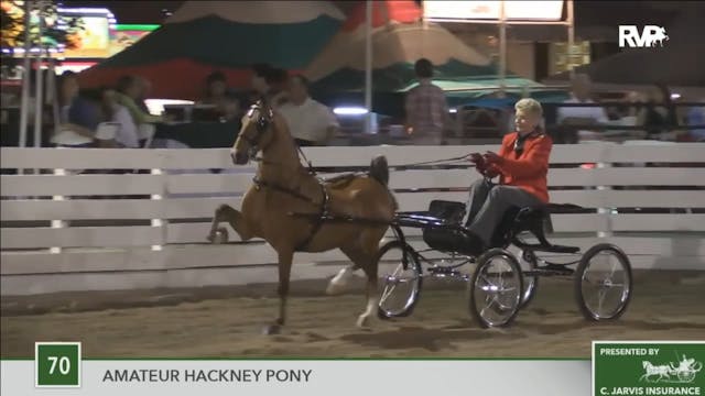 2016 RC - Class 70 Amateur Hackney Pony 
