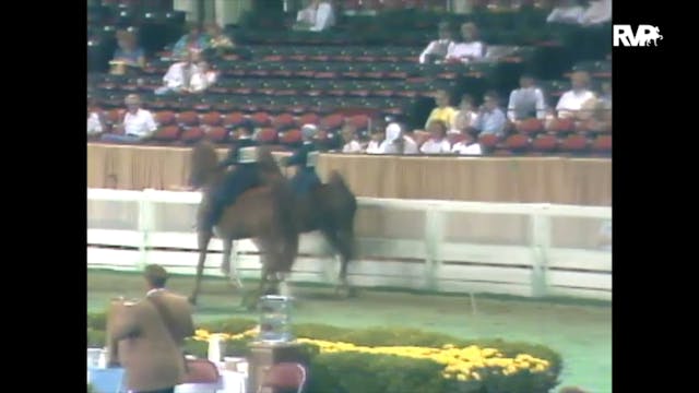 1989 WCHS Class 47 Equitation Open Ri...
