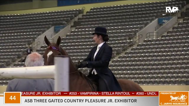 KFC 2020 - Class 44 ASB Three Gaited ...
