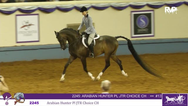 YAN24 - Class 2245 - Arabian Hunter P...