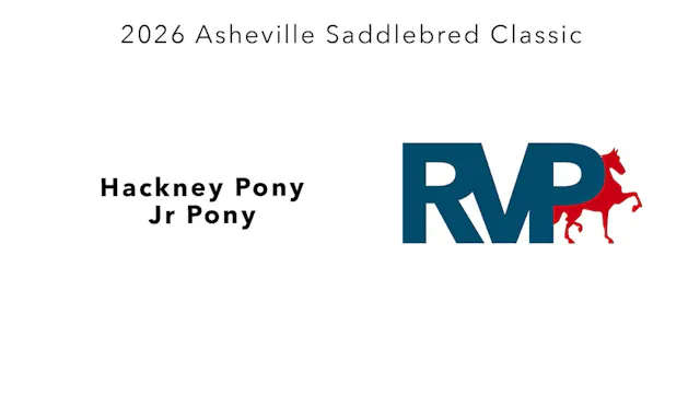 ASC26 - Class 89 - Hackney Pony Jr Pony