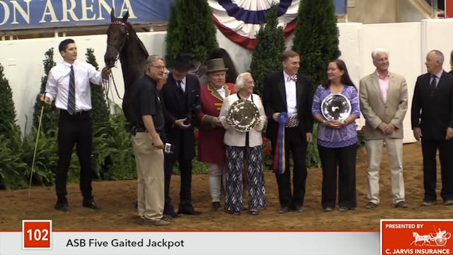 RSV17 - Claude Shiflet FIve Gaited Ja...