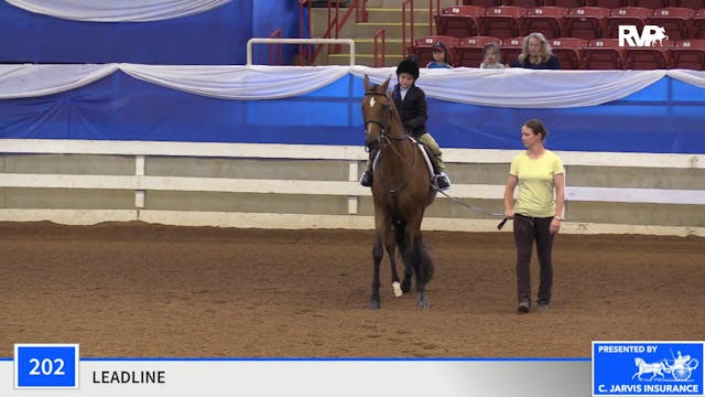 2019 Blue Ridge Classic Horse Show - ...