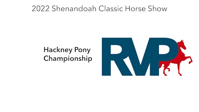 SC22 - Class 102 - Hackney Pony Champ...