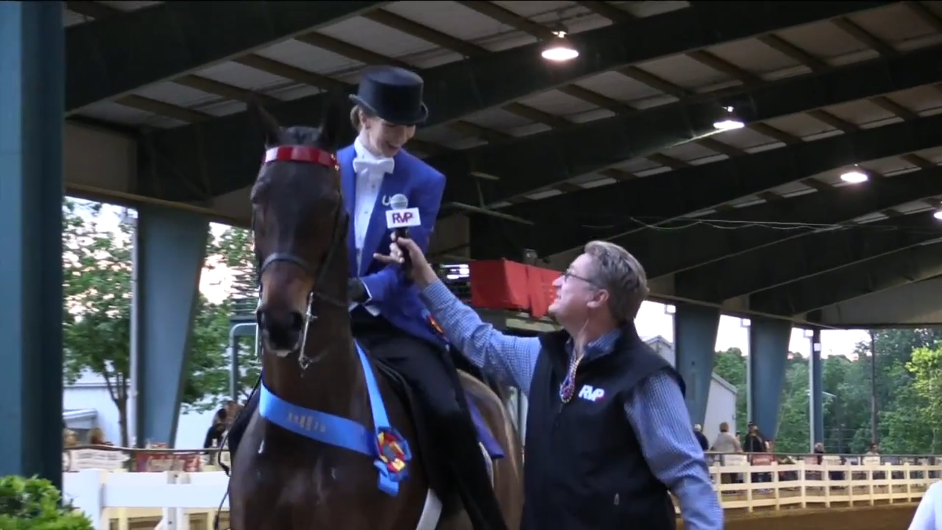 DC17 - Brookhill's Periday - Championship