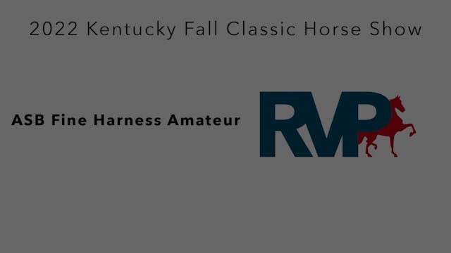 KYFC22 - Class 51 - ASB Fine Harness ...