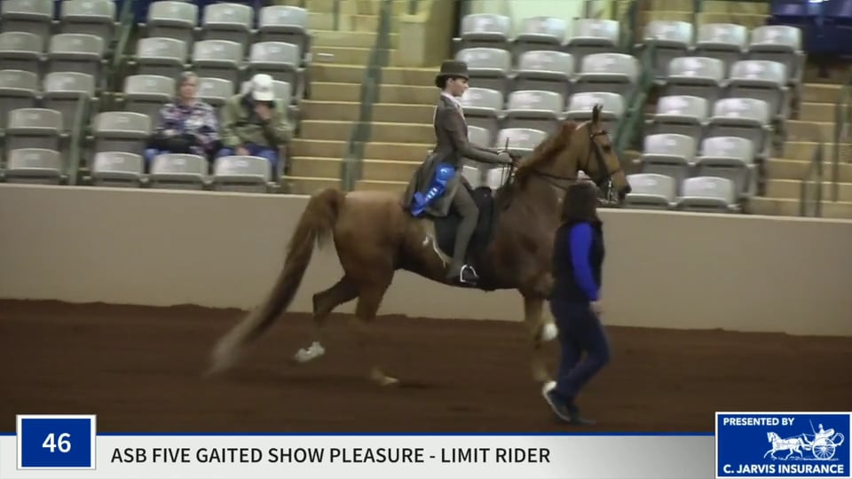 SSSF19 - Class 46 - True Blue Cat