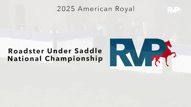 KC25 - Class 143 - Roadster Under Sad...