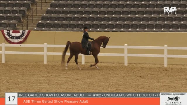 KYFC22 - Class 17 - ASB Three Gaited ...
