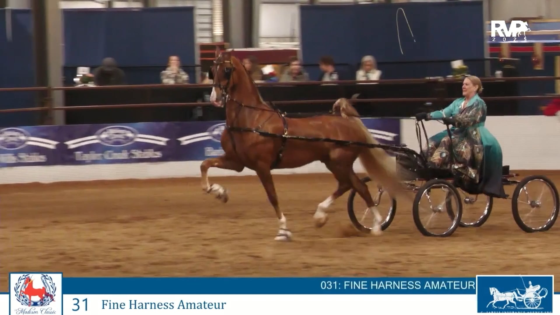 MC25 - Class 31 - Fine Harness Amateur