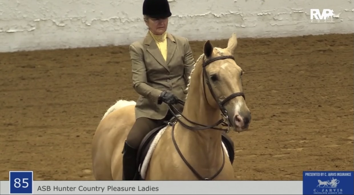 BB21 - Class 85 - ASB Hunter Country Pleasure Ladies