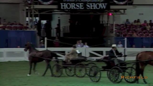 2001 WCHS - Class 86 - Amateur Roadst...
