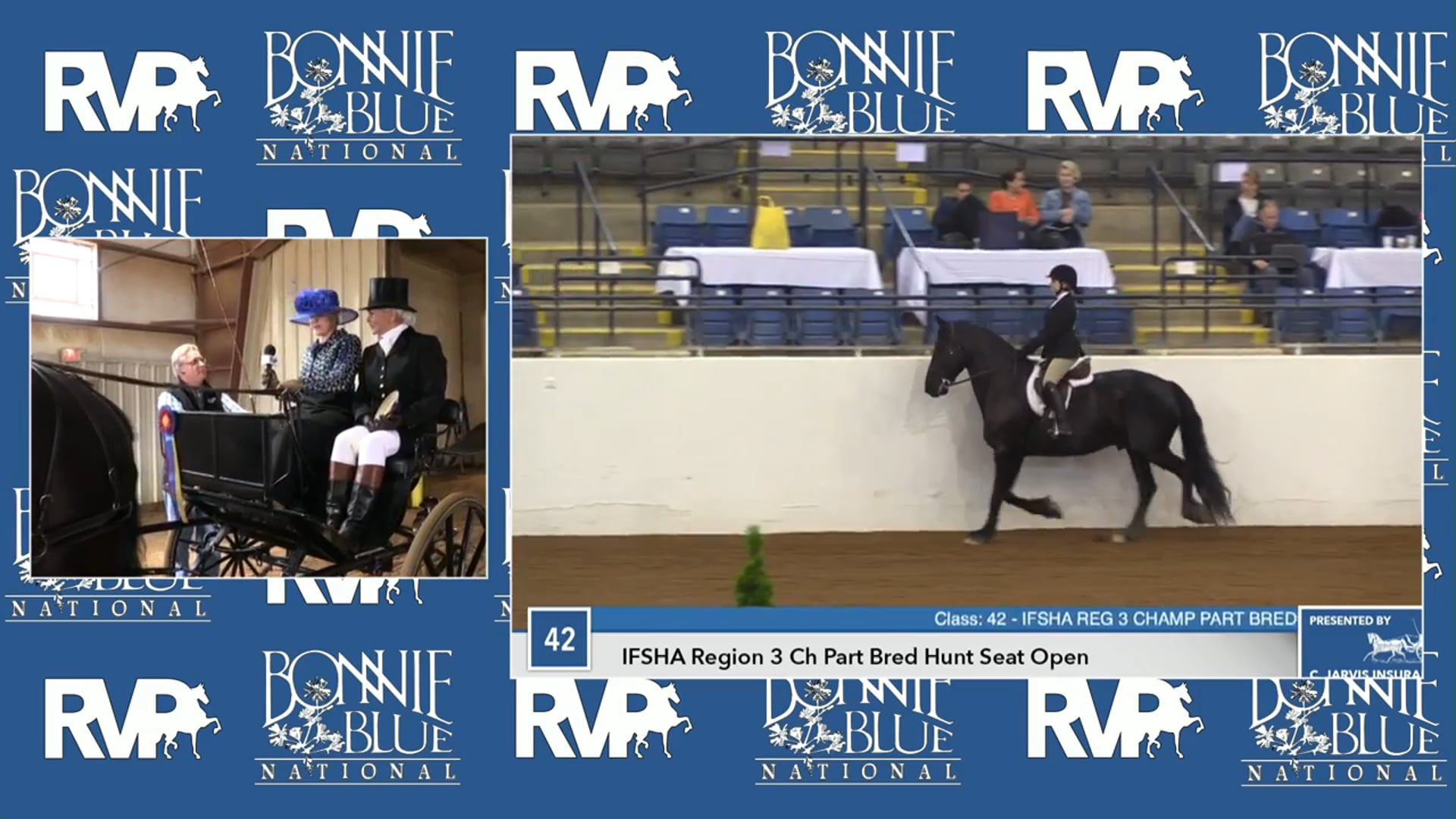 BB17 - Ozark P F - Champion Friesian Carriage Driving Open - Class 40