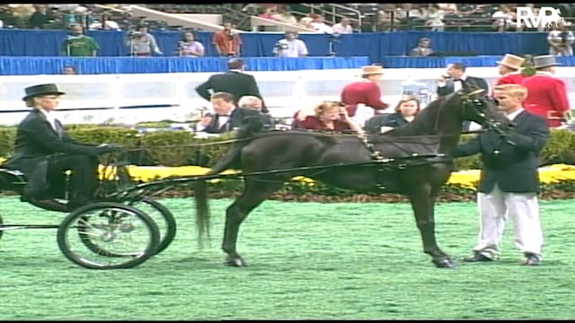 2003 WCHS Class 2 Kentucky County Fai...