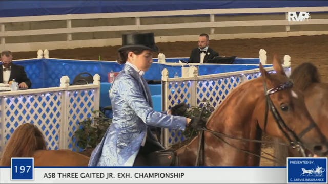 2020 BR - Class 197 SB Three Gaited J...