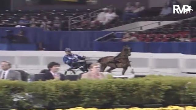 2007 WCHS Class 132 Three Year Old Ro...