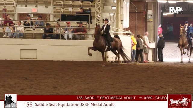 MW25 - Class 156 - Saddle Seat Equita...