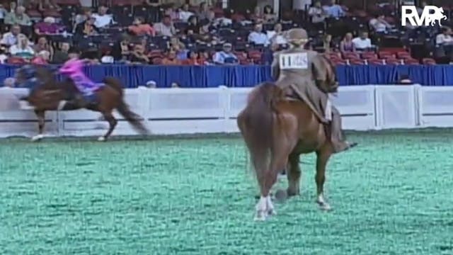 2009 World's Championship Horse Show ...