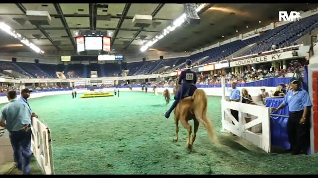 WCHS16 - First Time Exhibitors