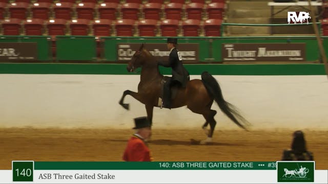 NCSC23 - Class 140 - ASB Three Gaited...