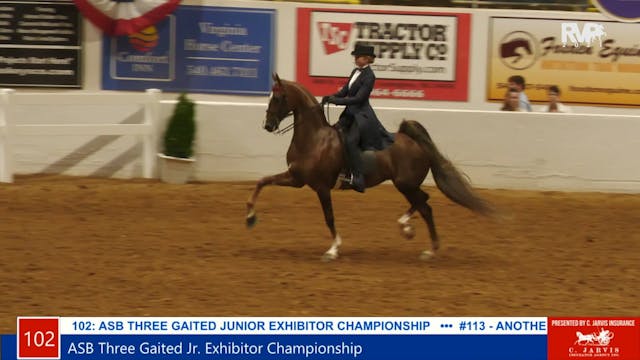 SC21 -  Class 102 - ASB Three Gaited ...
