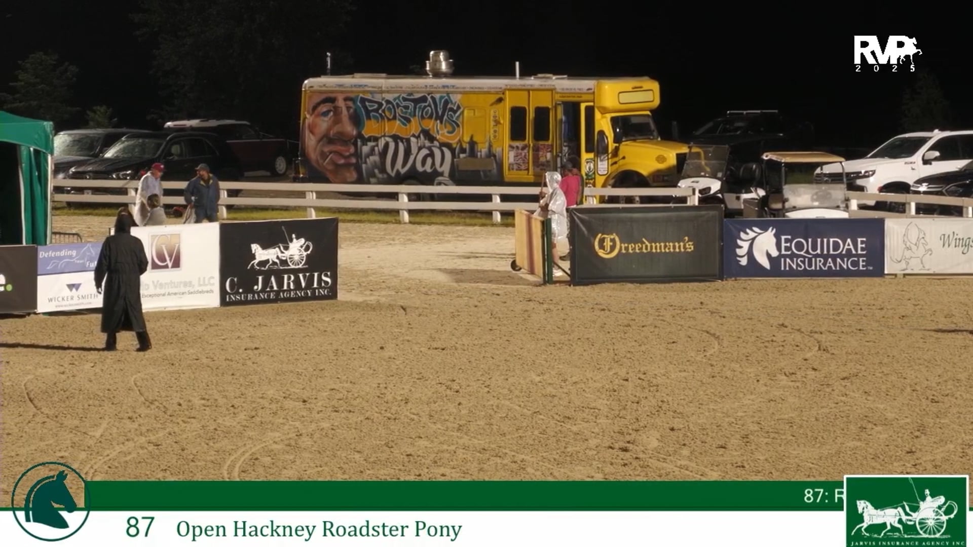 LJL25 - Class 87 - Open Hackney Roadster Pony