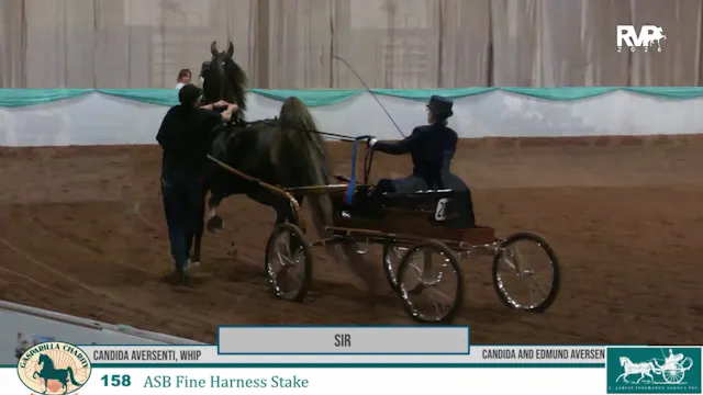 GC26 - Class 158 - Sir and Candida Av...