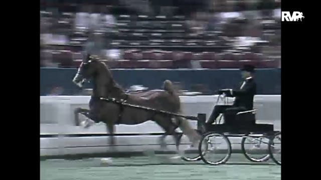 1997 WCHS - Class 9 Kentucky County F...