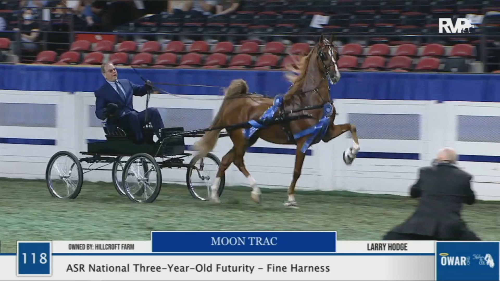 WCHS 2020 Class 118 - ASR National Three-Year-Old Futurity - Fine Harness