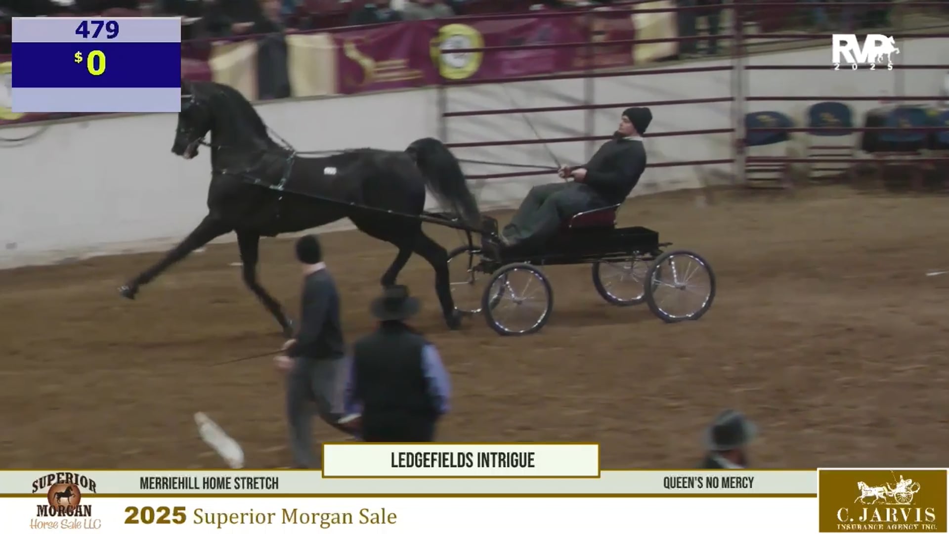 2025 Superior Morgan Sale - Lot #'s 479-484