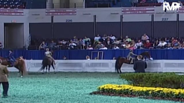 2009 World's Championship Horse Show ...