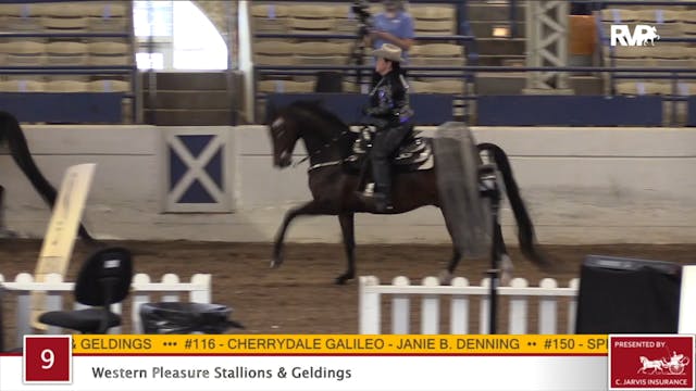 2020 JMHS - Class 9 Western Pleasure ...