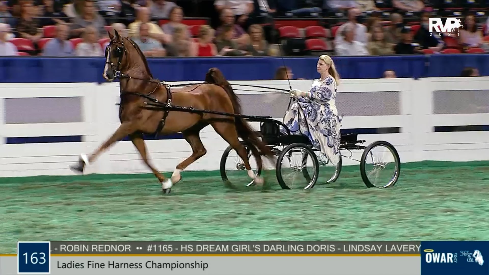 WCHS21 - Class 163 - Ladies Fine Harness Championship