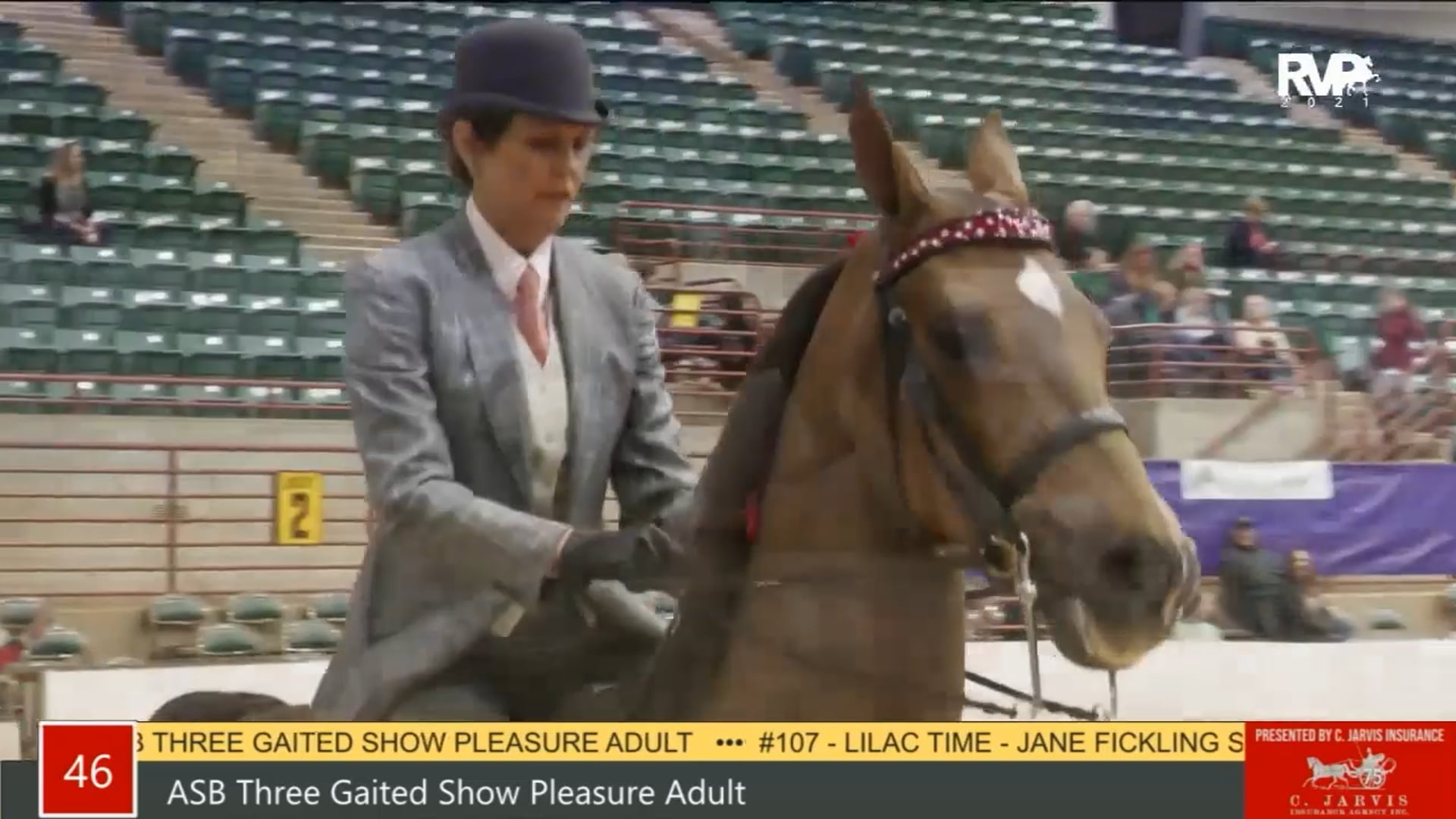 PA21 - Class 46 ASB Three Gaited Show Pleasure Adult