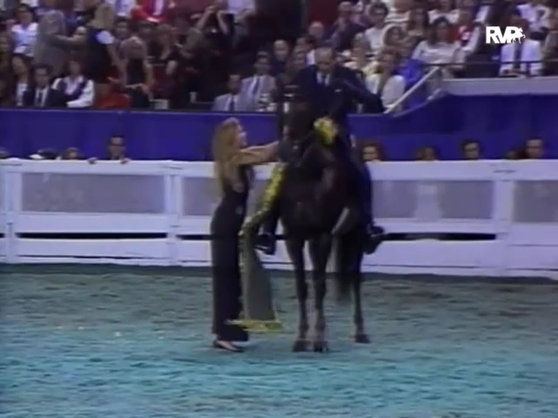 Looking Back at 1995 WGC CH Memories Citation, WGC CH Spring High, and WGC CH Winter Day Go Head to Head