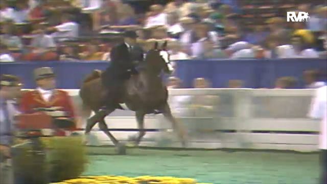 1992 WCHS Class 82 Three Gaited 15.2 ...