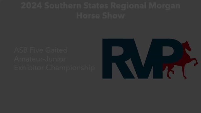 SS24 - Class 141 - ASB Five Gaited Am...