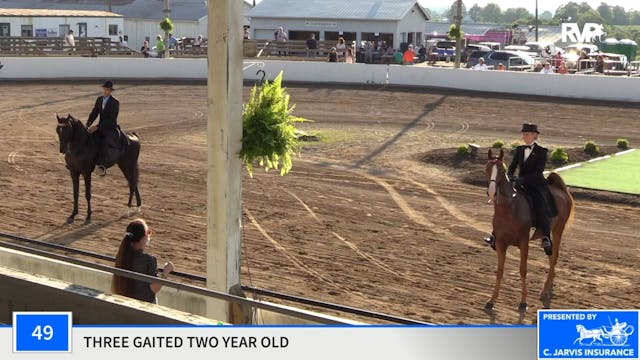 2020 MCF - Class 49 Three Gaited Two ...