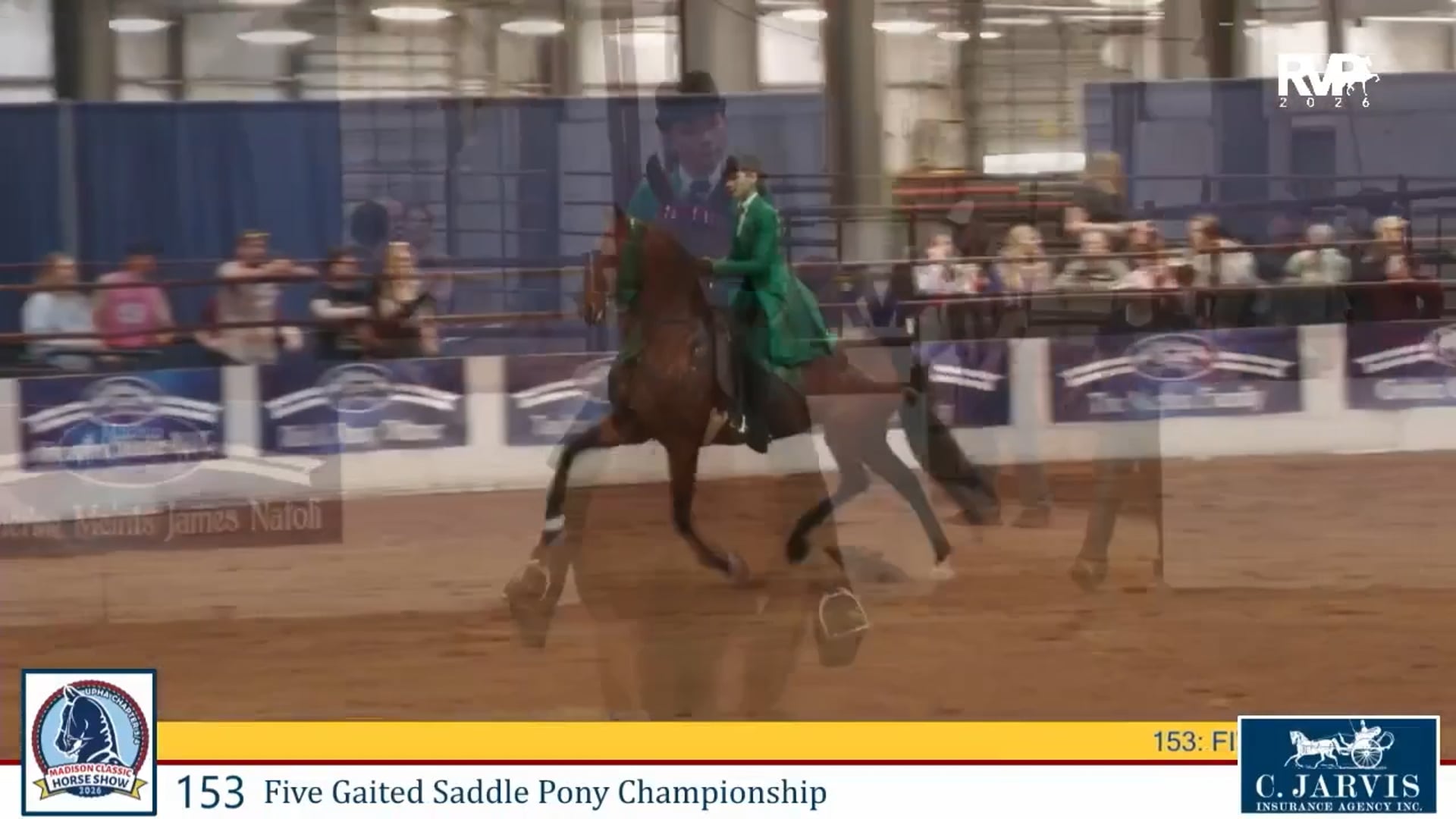 MC26 - Class 153 - Five Gaited Saddle Pony Championship