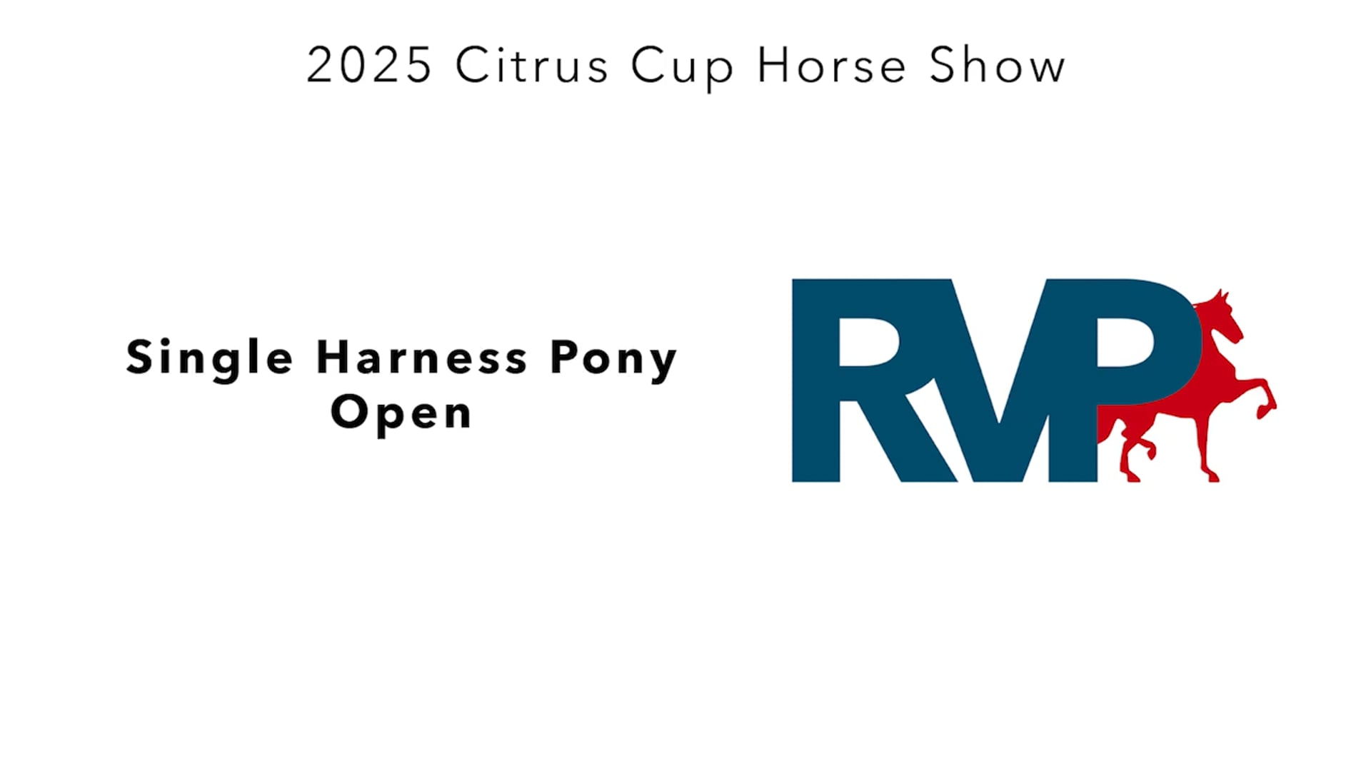 CC25 - Class 43 - Single Harness Pony Open